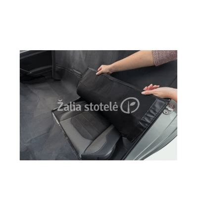 Odos dažų purškimas ant automobilio sėdynės