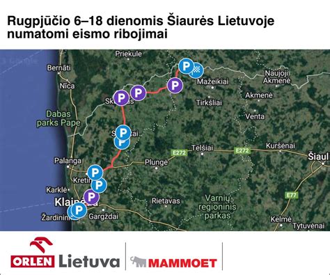 Infografika: krovinio pristatymo terminų viršijimo pasekmės