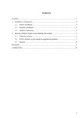 Schema: atsakomybė už krovinio pakrovimą ir išdėstymą