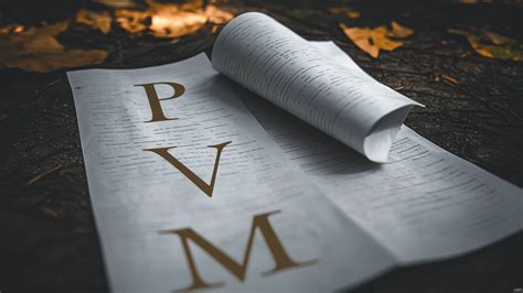 PVM schemos paaiškinimas