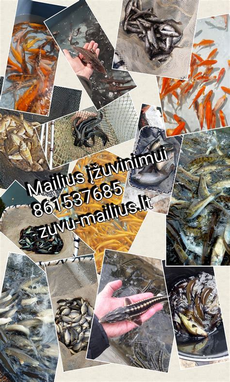 scheminis brėžinys atstumo iki vandens telkinio