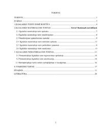 Ilgalaikio turto rūšys