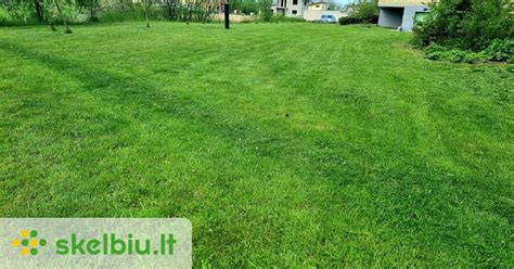 Žolės rulonai lauke