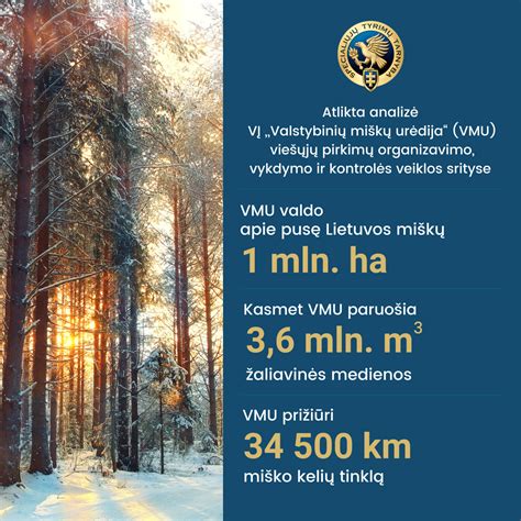 Infografika, iliustruojanti viešųjų pirkimų procesą