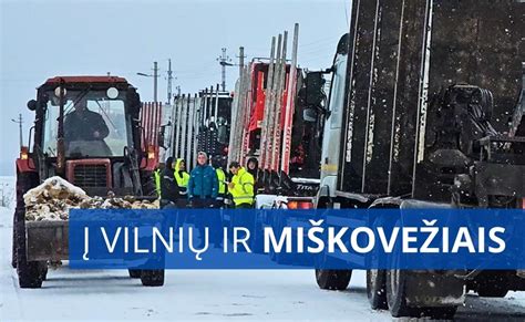 Miškininkai tvarko šiukšles miške