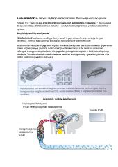 Patikimų benzininių variklių schema