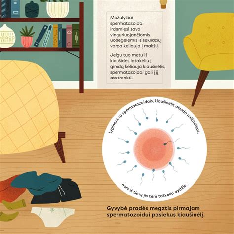 Skaidrių, kaip atsiranda rūdys, iliustracija