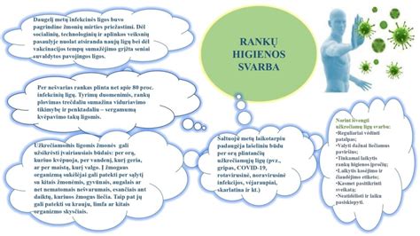 virtuvės higienos svarba