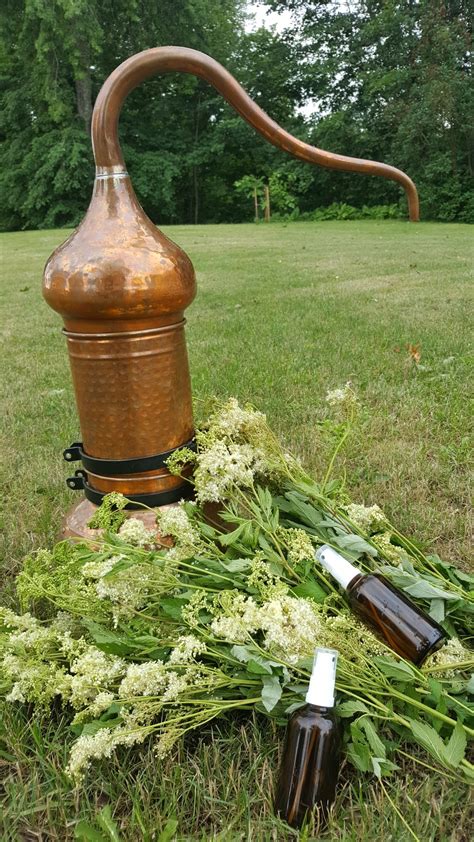 Etanolio gamyba iš augalų