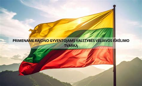 Infografika apie vėliavos iškėlimo tvarką