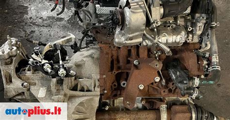 Ford Transit automobilio variklio aušinimo sistema