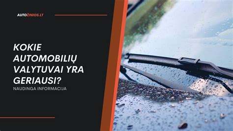 Įvairių tipų automobilių valytuvai