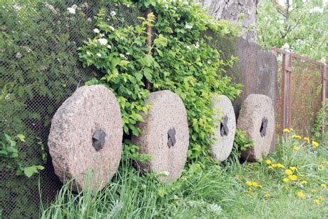 Malūno girnos ir miltų surinkimo sistema