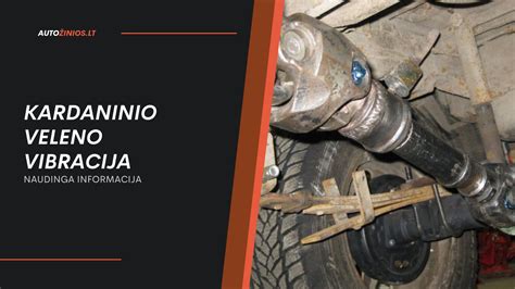 Automobilio varomojo veleno ir CV jungties sandara