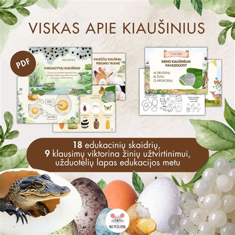 Skaidrių apžvalga apie regėjimo patikrinimą vairuotojams