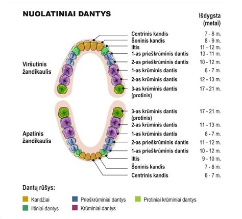 pūvantys dantys kaip simbolis