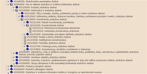 BVPŽ kodų struktūra ir pavyzdžiai