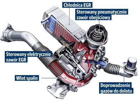 DPF ir EGR vožtuvų schema