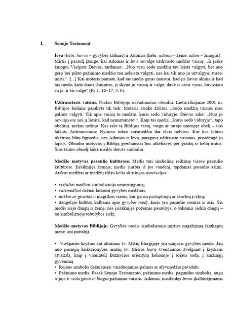 Motyvai ir simbolika filme 