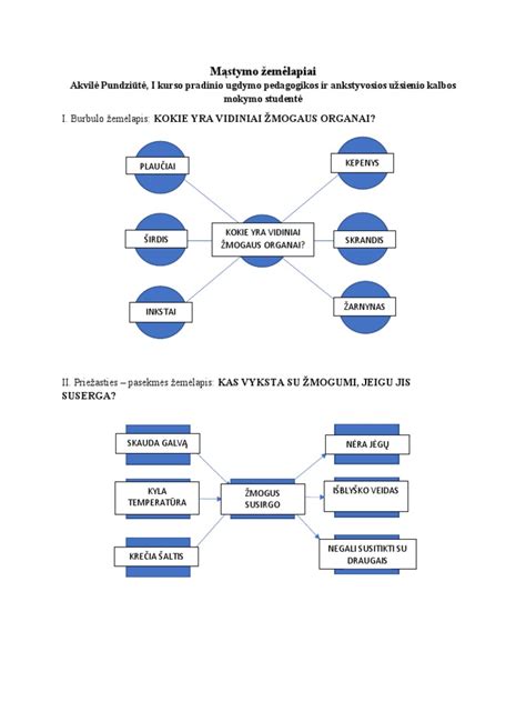 Analitinio mąstymo schema