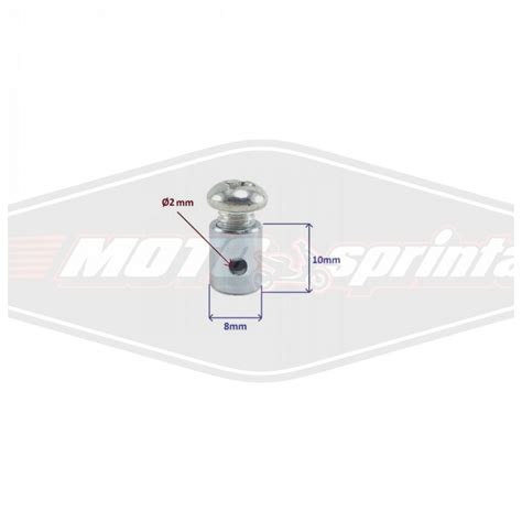 Sankabos lyno tvirtinimo antgalis