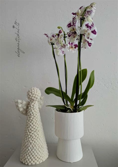 Įvairūs rankų darbo žibintai