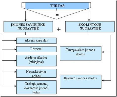 Balanso schematinis vaizdas su turto, įsipareigojimų ir nuosavybės padalijimu