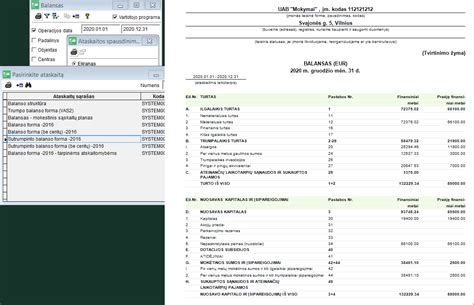 Balanso ataskaita su išskirtais ilgalaikio turto elementais