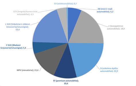 Automobilių amžiaus pasiskirstymas Lietuvoje