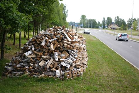 Beržinių malkų krūva