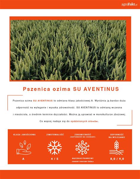 Infografika su padangų sezonų rekomendacijomis