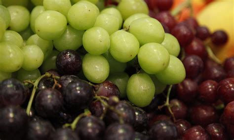 įvairių rūšių vynuogės