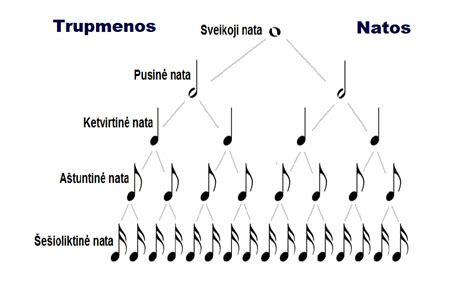 Muzikos natos ir instrumentai