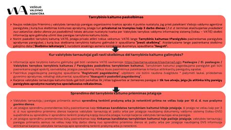 Informacinė schema apie slapukų veikimą