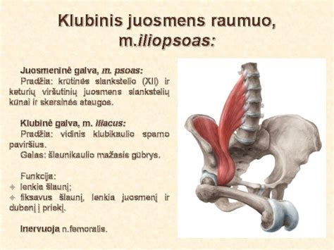 Klubinio juosmens raumuo