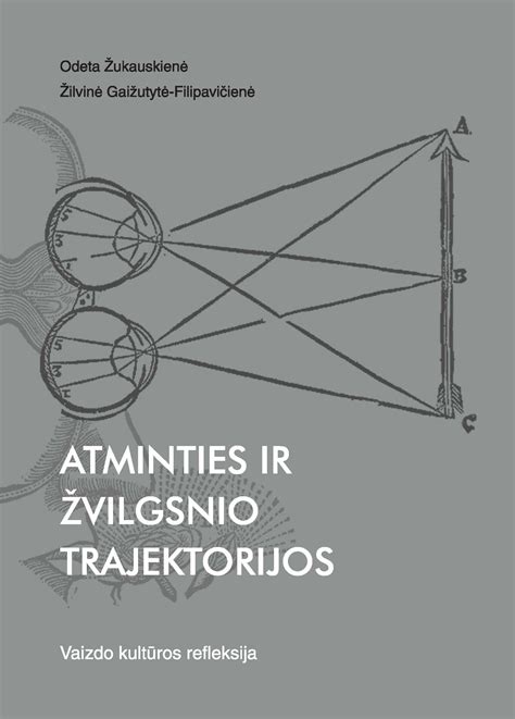 Vizualinės kultūros tyrimų schematinis vaizdavimas