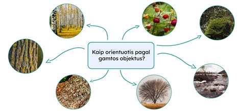Schema, iliustruojanti aklojoje zonoje esančius objektus ir kaip jų išvengti