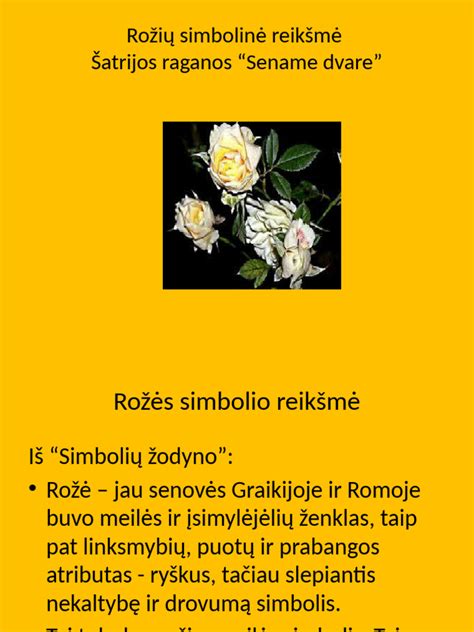Simbolinė automobilio reikšmė sapne
