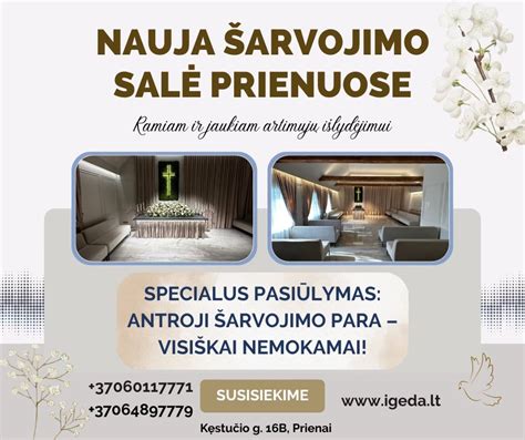 Teisinė pagalba vairuojantiems išgėrus