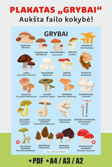 Palyginimas valgomųjų ir nuodingų grybų