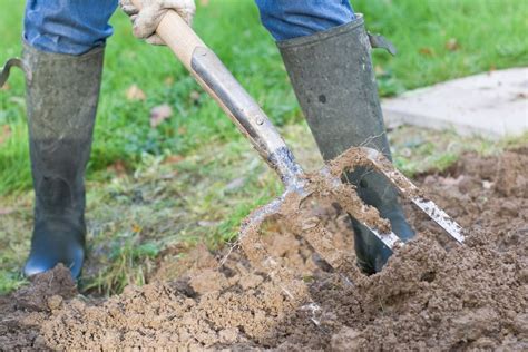 Schema: Dirvos paruošimo būdai prieš sėjant rapsus