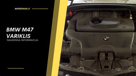 BMW variklio valdymo sistema ir davikliai