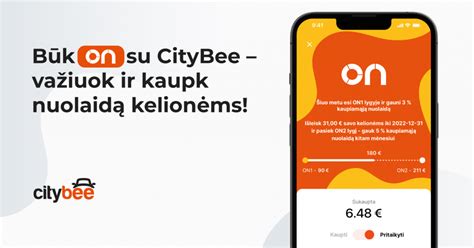 Informatyvinė schema, kaip veikia CityBee 