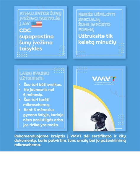 Infografika: 5 taisyklės atsakingam šunų šeimininkui