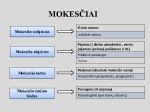 Danijos PVM ir muito mokesčių schema