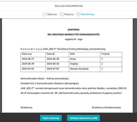 Schema su komandiruotės įsakymo elementais