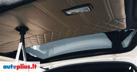 Automobilio lubų apmušalų pavyzdžiai