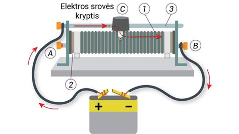 Schema, paaiškinanti šalto užvedimo srovės (CCA) svarbą žiemą