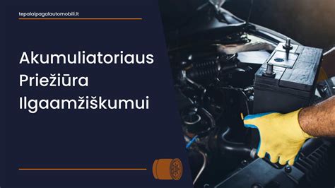 Infografika apie automobilio akumuliatoriaus priežiūrą