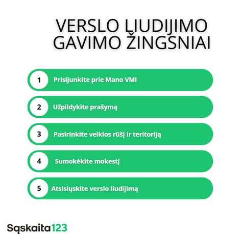 Verslo liudijimo vizualizacija